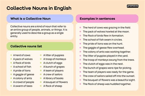 examiner noun .